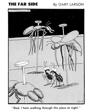 Illustration for article titled Final Farside Dose of The Day